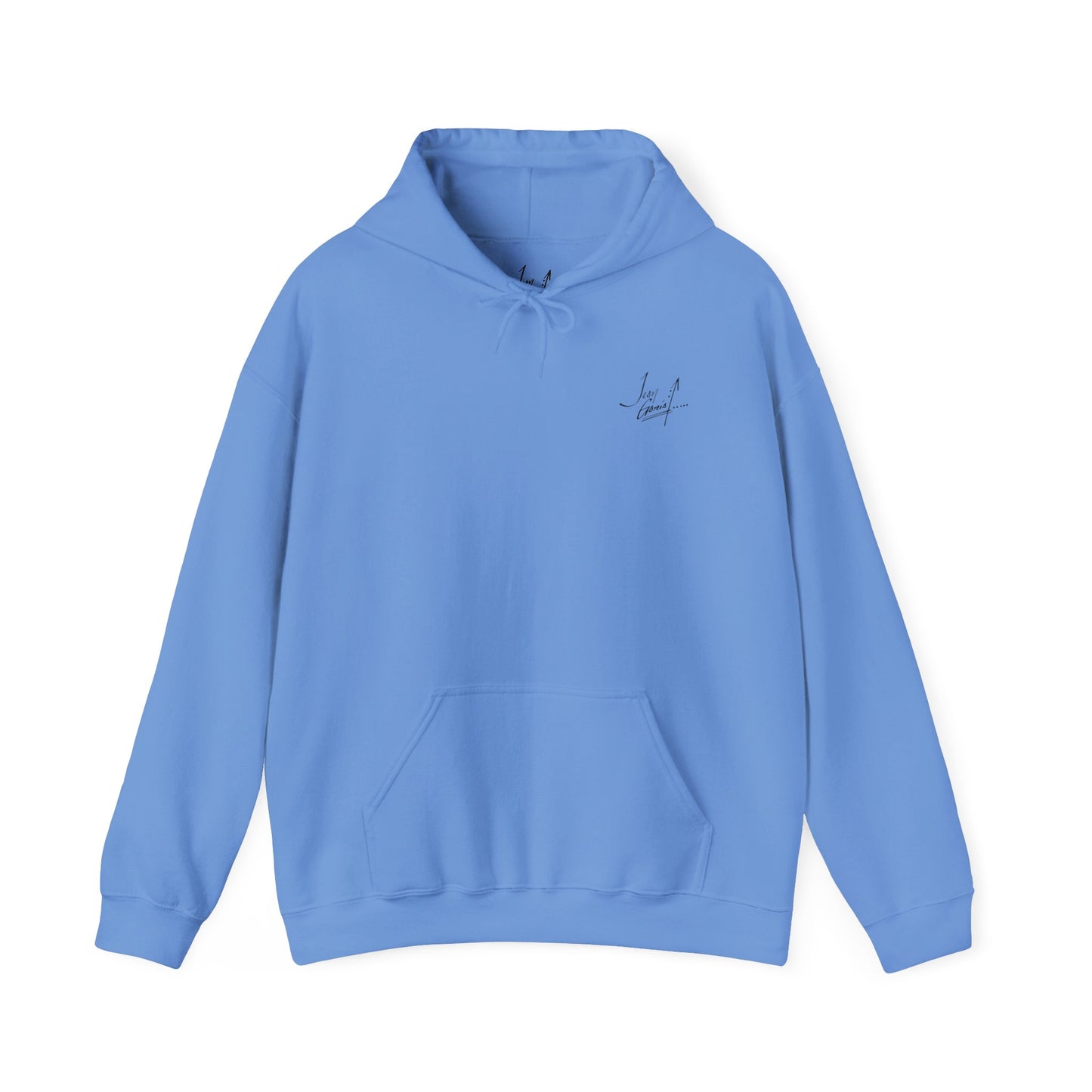 "Flamingo Dive-In" hoodie