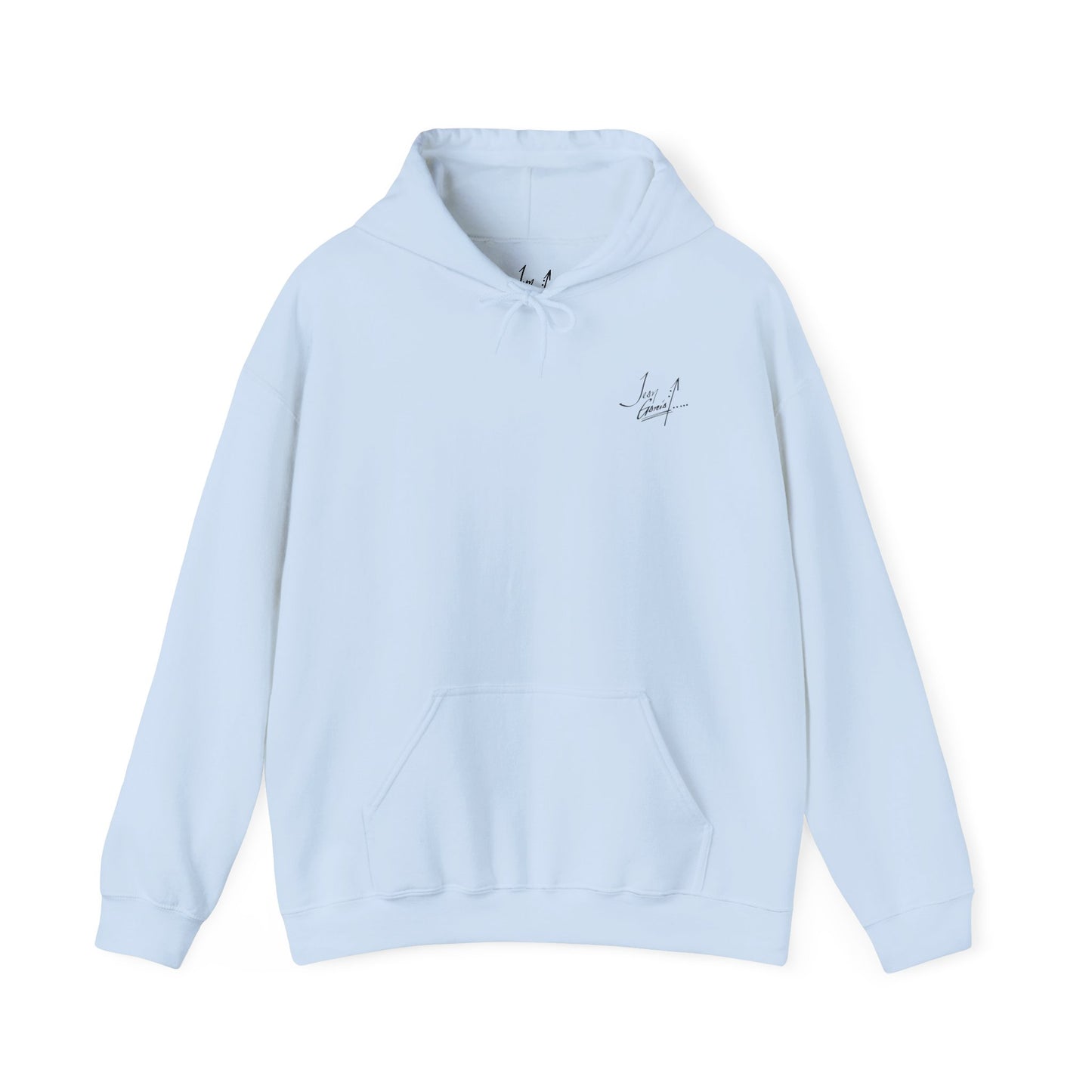 "Flamingo Dive-In" hoodie